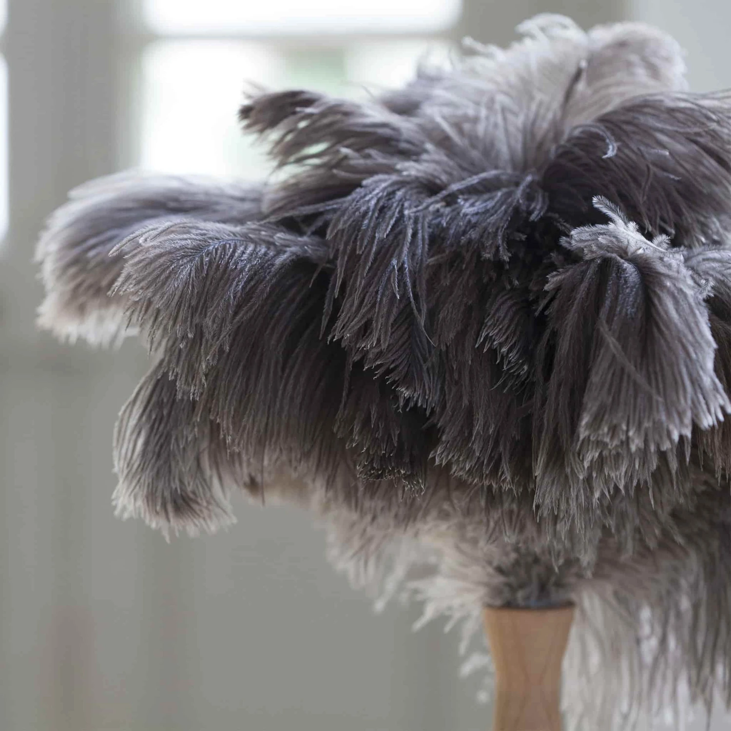 Cookware Andree Jardin Ostrich Feather Duster 4 Cookware Andree Jardin Ostrich Feather Duster