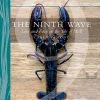 Birlinn General The Ninth Wave By Carla Lamont 2 Birlinn General The Ninth Wave By Carla Lamont