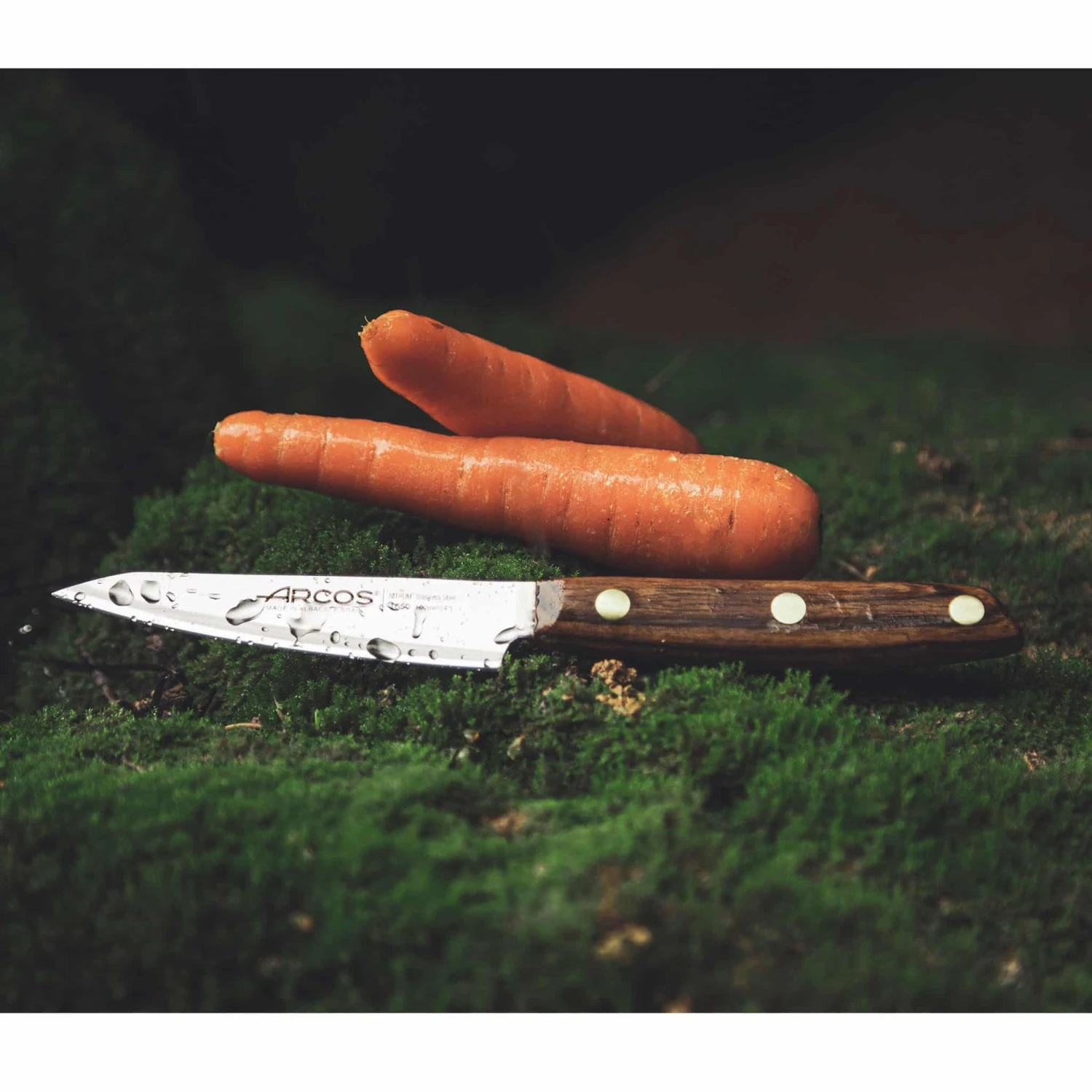 Cookware Arcos Nordika Paring Knife 10cm 4 Cookware Arcos Nordika Paring Knife 10cm