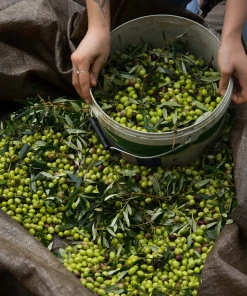 Honest Toil Extra Virgin Olive Oil 500ml Ingredients