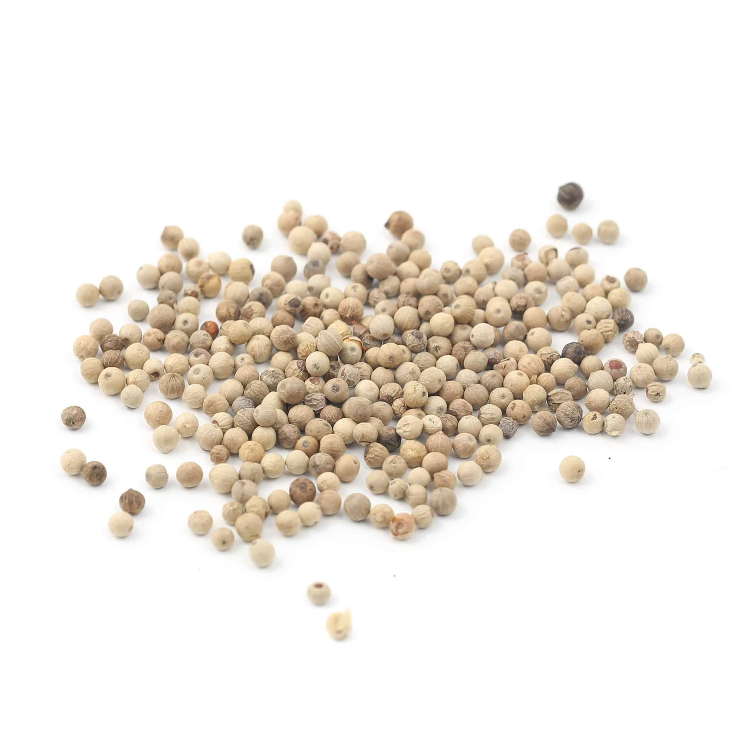 Ingredients Terre Exotique White Sarawak Pepper IGP 1kg 4 Ingredients Terre Exotique White Sarawak Pepper IGP 1kg