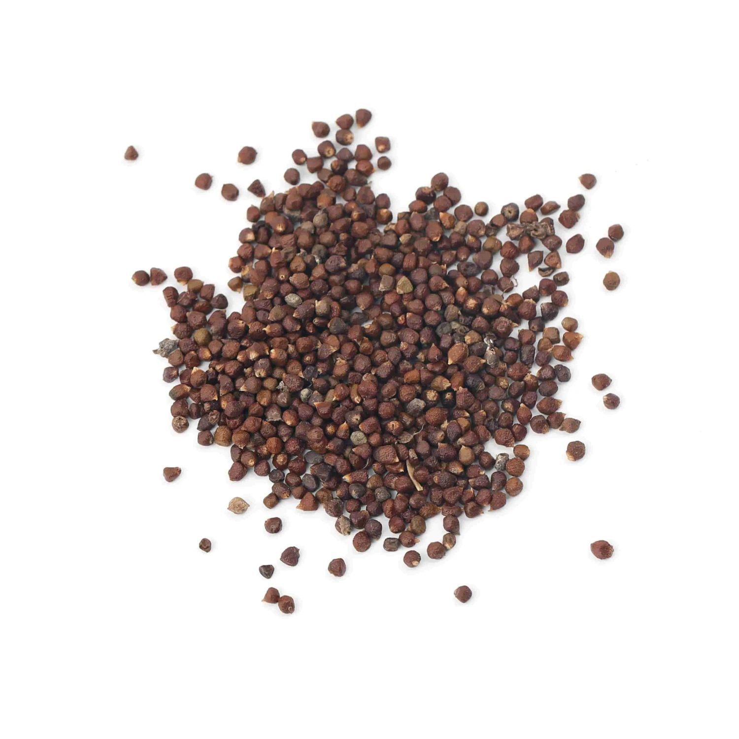 Terre Exotique Korarima Seeds 500g Ingredients 4 Terre Exotique Korarima Seeds 500g Ingredients