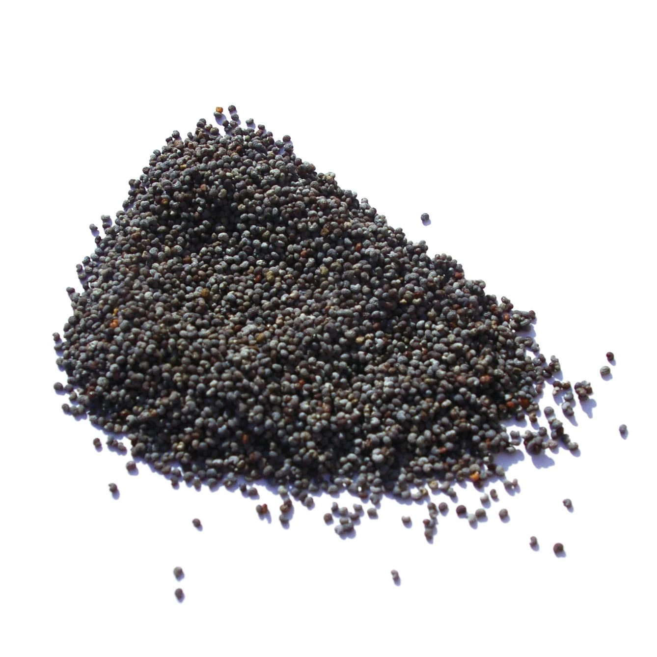 Ingredients Terre Exotique Blue Poppy Seeds 500g 4 Ingredients Terre Exotique Blue Poppy Seeds 500g