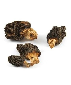 Sous Chef Mushroom & Truffles Wild Morel Mushrooms 30g