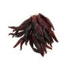 Brindisa Guindilla Pepper Ristra - String Of 50
