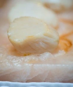 Terre Exotique Himalayan Salt Plate Ingredients 8 Terre Exotique Himalayan Salt Plate Ingredients