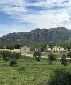 Ingredients Grand Brahis Noir AOP Vallee Des Baux De Provence Extra Virgin Olive Oil 500ml