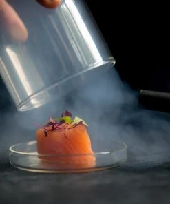 Sage Smoking Gun Molecular Gastronomy Supplies